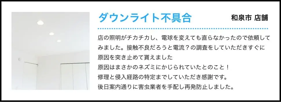 ダウンライト不具合-和泉市 店舗